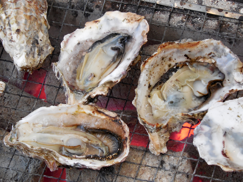 現代の髪型 新着静岡 牡蠣 食べ 放題